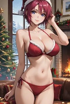 霍克小姐的圣诞夜